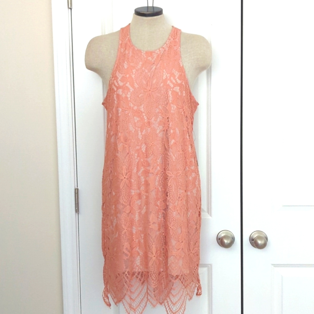 Express Scalloped Lace Sheath Lined Dress Pink Size L Fairy New -274